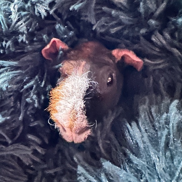 Meet your Posher, Stephanie - Picture 7 of 10